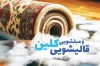 فایل کارت ویزیت قالی شویی شامل عکس قالی