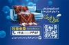 کارت ویزیت قالی شویی شامل عکس قالی