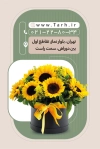 کارت ویزیت آماده گل فروشی شامل عکس گل