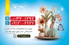 کارت ویزیت گل فروشی شامل عکس گل
