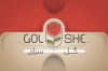 طرح کارت ویزیت گل فروشی شامل عکس باکس گل