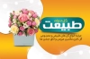 دانلود طرح کارت ویزیت گل فروشی شامل باکس گل جهت چاپ کارت ویزیت گل سرا