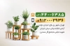 کارت ویزیت خام گلخانه و نهالستان شامل عکس گلدان گل