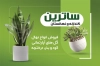 کارت ویزیت نهالستان لایه باز شامل عکس گلدان
