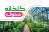 کارت ویزیت نهالستان لایه باز شامل عکس گلدان