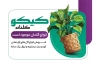 کارت ویزیت نهالستان لایه باز شامل عکس گلدان
