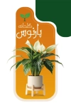 کارت ویزیت نهالستان لایه باز شامل عکس گلدان