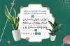 طرح کارت ویزیت نهالستان گل و گیاه شامل عکس گیاه آپارتمانی جهت چاپ کارت ویزیت گلخانه و فروش گل