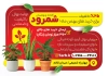 دانلود تراکت گلخانه شامل عکس نهالستان