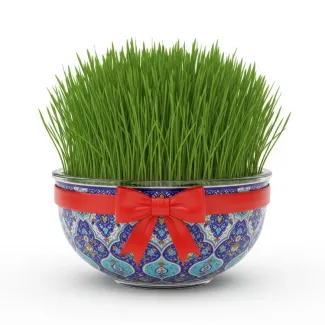 عکس حرفه ای سبزه هفت سین