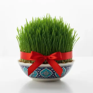 عکس حرفه ای سبزه هفت سین