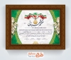 طرح خام حکم قهرمانی تکواندو شامل وکتور پرچم ایران