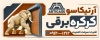 طرح برقی کرکره برقی شامل عکس در کرکره ای با قابلیت ویرایش و فرمت PSD
