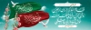 طرح پلاکارد خیر مقدم زائر پیاده کربلا