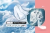 دانلود کارت ویزیت خشک شویی شامل عکس لباس