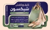 طرح پوستر کیف و کفش شامل عکس کیف و کفش زنانه