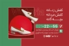 کارت ویزیت کیف و کفش شامل عکس کیف و کفش