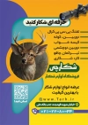 نمونه تراکت فروشگاه لوازم شکار شامل عکس شکارچی