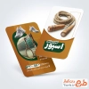 دانلود کارت ویزیت فروشگاه لوازم ورزشی با عکس کفش ورزشی