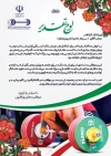 طرح لوح تقدیر وزنه برداری شامل عکس ورزشکار