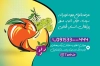 کارت ویزیت میوه فروشی شامل عکس میوه