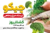 طرح لایه باز کارت ویزیت مرغ و ماهی فروشی