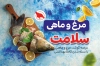 طرح لایه باز کارت ویزیت مرغ و ماهی فروشی