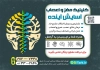 تراکت دکتر مغز و اعصاب لایه باز شامل وکتور مغز