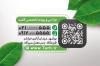 کارت ویزیت پزشک قلب و عروق شامل رنگبندی سفید و سبز