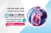 کارت ویزیت پزشک قلب و عروق شامل رنگبندی آبی