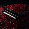 عکس حرفه ای موسیقی