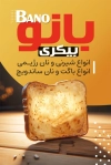 کارت ویزیت لایه باز نان فانتزی لاکچری شامل عکس نان فانتزی
