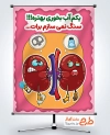 بنر خام پیشگیری از سنگ کلیه شامل تصویرسازی کلیه