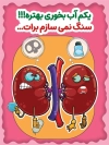 طرح بنر خام پیشگیری از سنگ کلیه شامل تصویرسازی کلیه