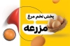 کارت ویزیت فروشگاه تخم مرغ شامل عکس موادغذایی