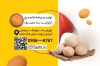 کارت ویزیت لایه باز پخش تخم مرغ شامل عکس موادغذایی