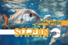 کارت ویزیت پرورش ماهی لایه باز شامل تصویر ماهی