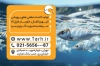 کارت ویزیت لایه باز پرورش ماهی شامل محل جایگذاری مشخصات