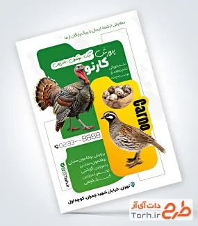 طرح تراکت تبلیغاتی پرورش مرغ و طیور با قابلیت ویرایش المان ها