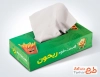 طرح گسترده بسته بندی جعبه دستمال کاغذی پیتزا فروشی با عکس فست فود