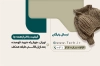 کارت ویزیت خام بوتیک زنانه شامل عکس مدل زن
