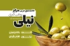 کارت ویزیت لایه باز عرقیات و روغن گیری شامل عکس روغن زیتون