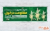 پلاکارد خام روز دزفول شامل وکتور سرو