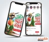 طرح لایه باز اینستاگرام روز دزفول شامل خوشنویسی دزفول نماد پایداری