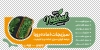 فایل استیکر سبزیجات آماده شامل عکس سبزی