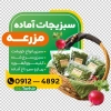 طرح استیکر سبزیجات آماده شامل وکتور میوه و صیفی جات با فرمت PSD و قابل ویرایش