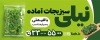 بنر قابل ویرایش سبزیجات اماده شامل عکس سبزیجات