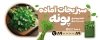 بنر قابل ویرایش سبزیجات اماده شامل عکس سبزی