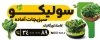 بنر قابل ویرایش سبزیجات اماده شامل عکس صیفیجات