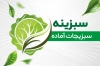 طرح آماده کارت ویزیت سبزی خرد کنی شامل عکس سبزیجات